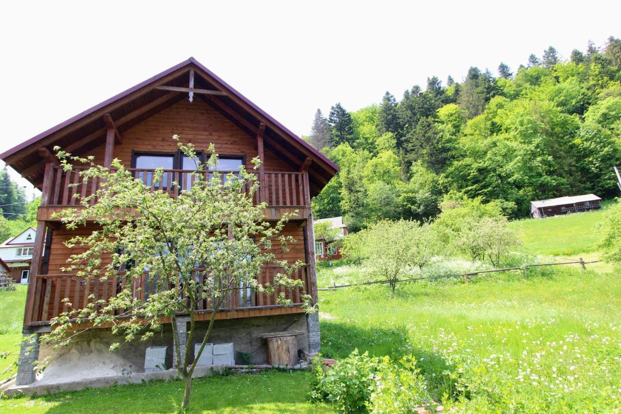 Котедж "Карпатський Краєвид" Yaremche Exterior foto